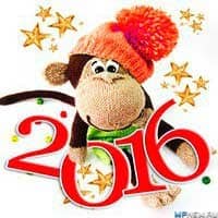 2016 год