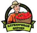 Клубничная ферма